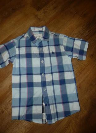 Debenhams рубашка на 8 лет рост 128 см