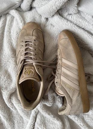 Кросівки adidas gazelle
