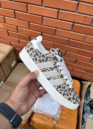 Campus 00s leopard 37