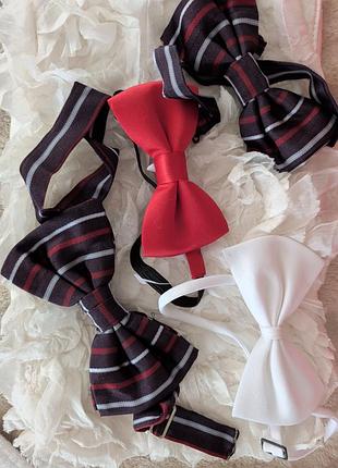 Праздничные бабочки галстука