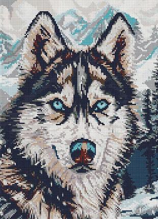 Алмазная мозаика "глаза севера" ©art_selena_ua amo20041, 40х50 см