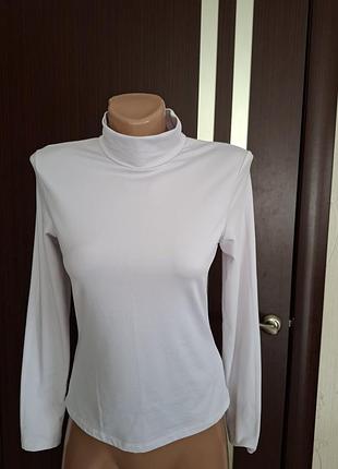 Гольф водолазка