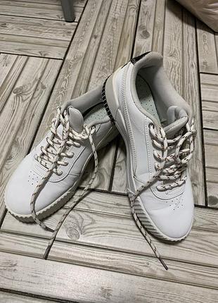 Кросівки puma