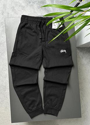 Спортивные штаны stussy mini logo унисекс