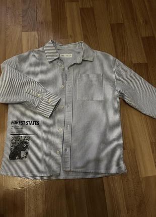 Рубашка zara 2