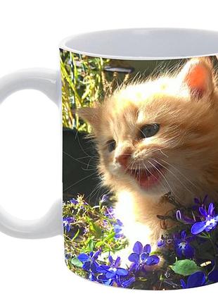 Кружка «sunny flower kitten» 330 мл — кружка з кошеням у квітах, яскравий сублімаційний друк