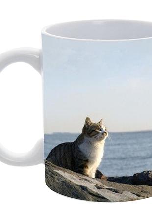 Кружка «ocean view kitty» 330 мл — кружка с котом у моря, атмосферный сублимационный принт