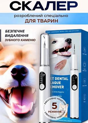 Скаллер для собак ультразвуковой folem t6, чистка зубного каменя у животных