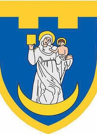 Шеврон dobroznak тро 117 бригади зсу суми