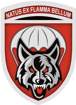 Шеврон всу natus ex flamma bellum
