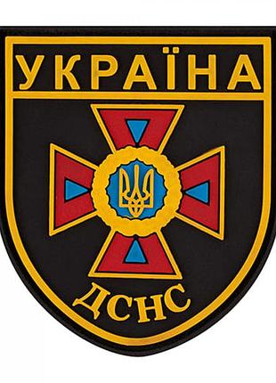 Патч/шеврон дснс стандар 2