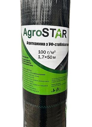 Агротканина "agrostar" 100г/м2 (1,7*50) 2