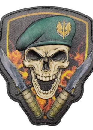 Шеврон череп беретний знак морська піхота об'ємний