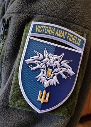 Шеврон 38 обрмп victoria amat fidelis объемный