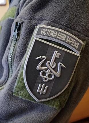 Шеврон dobroznak школа морського піхотинця victoria enim sapiens об'ємний олива
