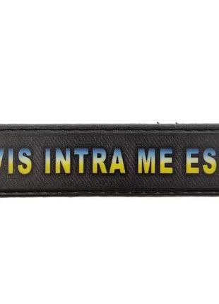 Шеврон vis intra me est