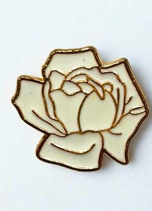 Значок pin #613