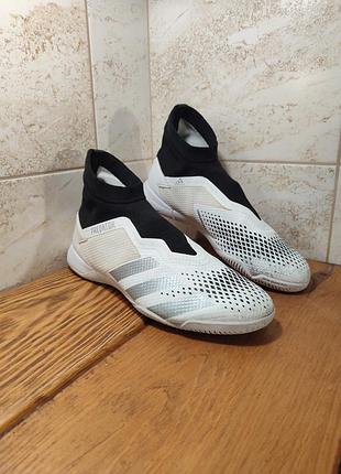 Футзалки adidas predator 20.3 ll in