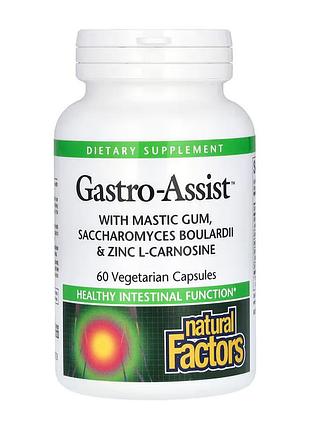 Gastroassist - 60 vcaps