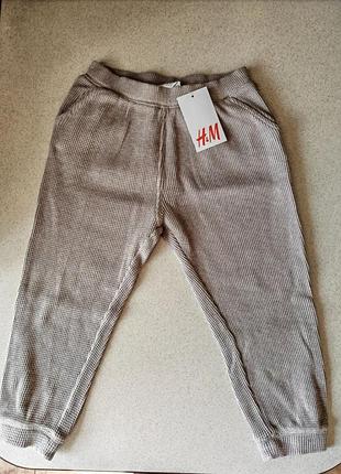 Джогери  116/5-6 років h&m