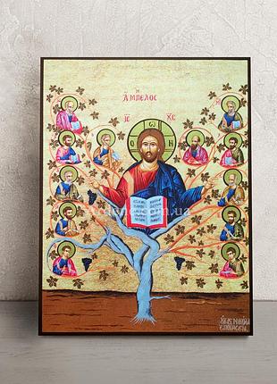 Икона иисус христос виноградная лоза (лоза истинная) 14 × 19 см