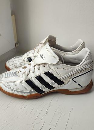 Футзали adidas puntero 34р. 21.5 см.
