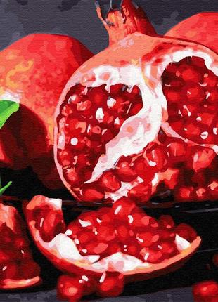 Картина за номерами гранат