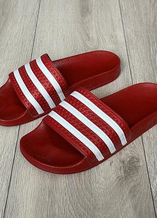 Шльопанці тапки сланци adidas