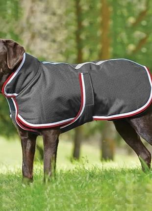 Светоотражающая куртка для собак 5xl