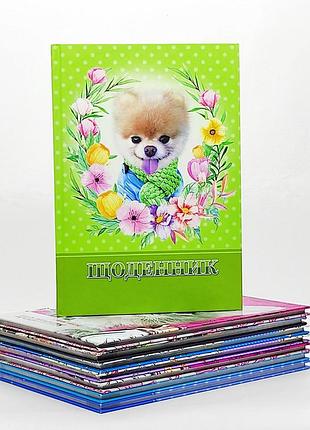 Дневник школьный в ассортименте 9494949 фото1