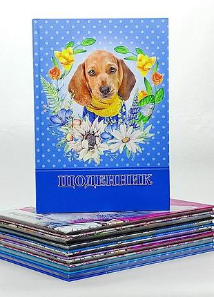 Дневник школьный в ассортименте 9494949 фото2