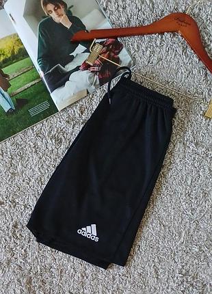 Спортивные шорты  adidas