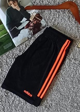 Спортивные шорты  adidas