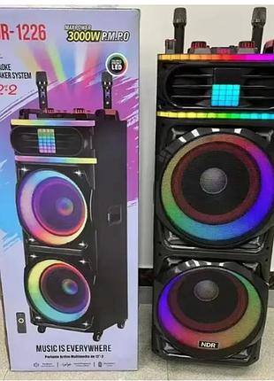 Портативная акустическая колонка на аккумуляторе с 2 микрофонами с bluetooth и пультом ndr 1226