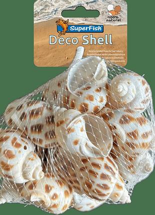 Декоративные ракушки sf deco shell spiral striped 200 gram (a4080425)