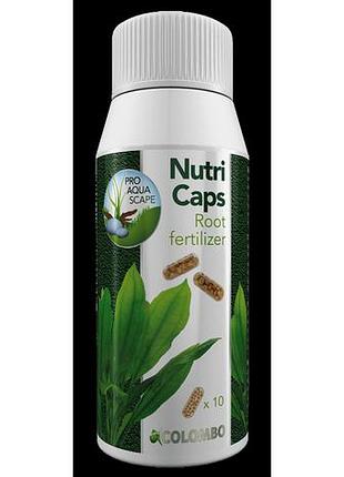 Грунтовые удобрения (капсулы) для аквариумных растений colombo flora nutri caps 10 pcs (a5010145)