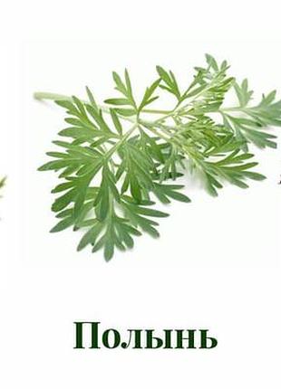 110грам, тройчатка противопаразитная (пижмо, гвоздика, полынь горькая) молотый mastersem