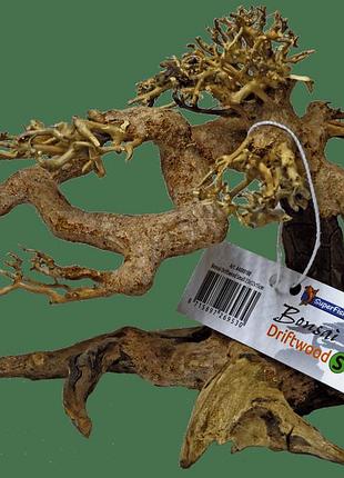 Дерево бонсай bonsai driftwood s (a4080100)