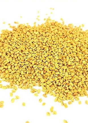 1кг., пажитник фенгурек желтый чай (семена), 1кг. mastersem