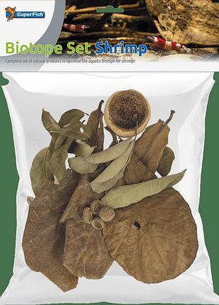 Листья катаппы biotope set shrimp (a4080470)