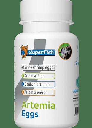 Яйца артемии sf brine shrimp eggs 50 gramm (a4040190)