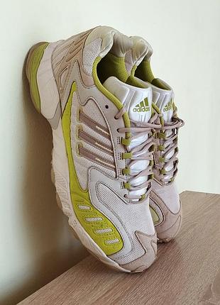 Чоловічі спортивні кросівки adidas torsion trdc