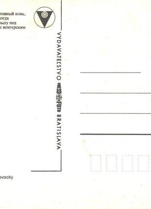 Листівка словацька фуриозо англійський кінь кінь братислава bratislava press foto