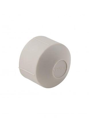 Заглушка ppr thermo alliance 25