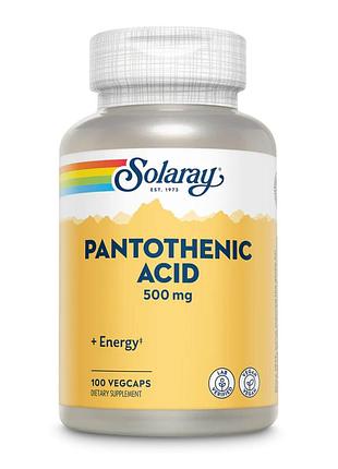 Pantothenic acid 500mg - 100 veg caps