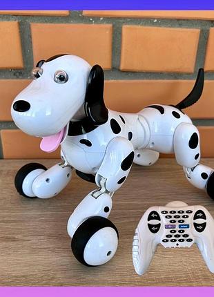 Дитячий робот інтерактивний собака на пульті happycow smart dog hc-777-338 білий