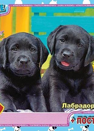Пазлы g-toys "домашние любимци" 35 элементов + постер 21 х 30 см an 145