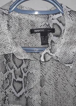 Супер блуза леопардового принта бренда mango размер xs новая