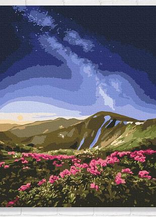 Картина красками по номерам для взрослых на подрамнике 40x50 черногора © roksolana baran сложная