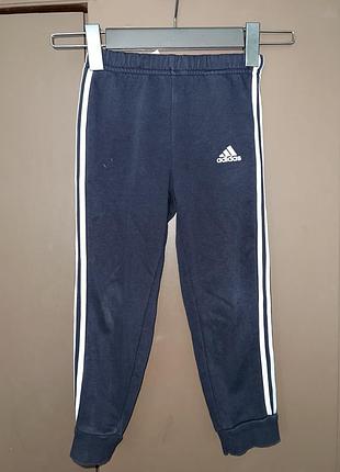 Штаны adidas